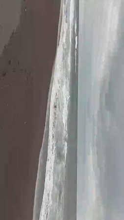 1000048169.mp4