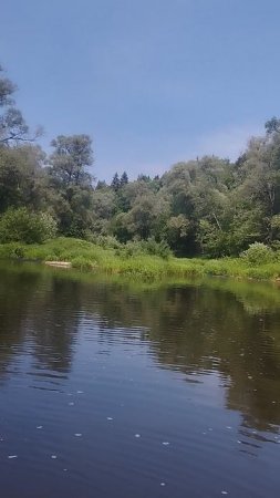 Джек на прогулке.