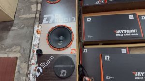 DL Audio Gryphon Pro 200 Midbass