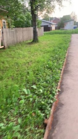 Walking through the beautiful village: прогулка к лесу