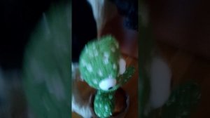 Чарлик изучает какуето вещь..