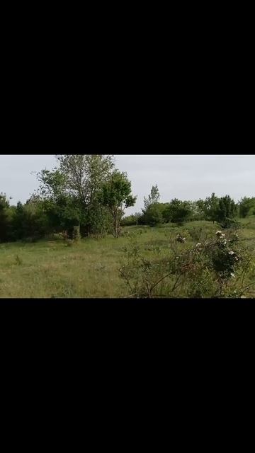в городе такое не увидишь
