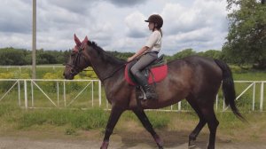 Актуальная тема - В Рыбновском районе возрождают конный спорт