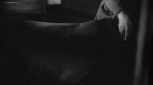 1000056606.mp4