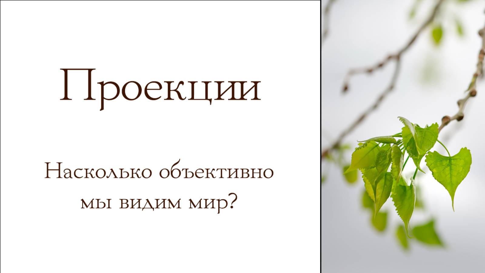 Почему тебя бесят ЭТИ люди? Как Юнг объясняет наши чувства.