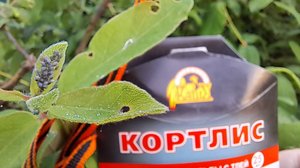 Обработка деревьев от тли с помощью препарата 'Кортлис'
