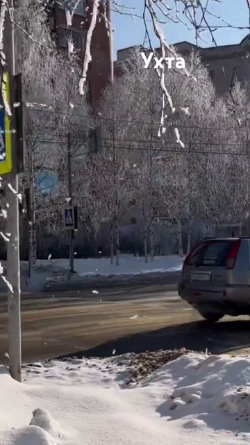 #Ухта …деревья зимние, а солнце весеннее…Республика Коми…27.02.2025