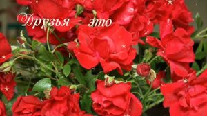 С ДНЁМ ДРУЗЕЙ! 🥰 Отличного настроения, крепкой дружбы! 🤝