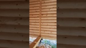 Монтаж обсадных коробок в бане из ОЦБ , д.Колюткино