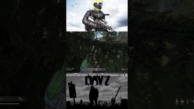 DayZ |Ищу Ресурсы для Постройки БАЗЫ,ЧИТАЮ 90% чата! #dayz #dayz смотреть онлайн