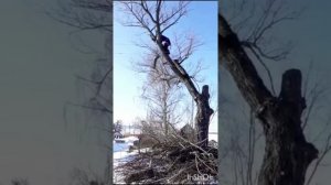 Тел/WhatsApp 89657029577 Спил вырубка обрезка деревьев Сухиничи