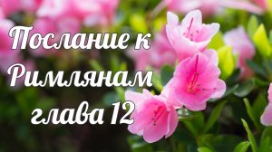 Послание к Римлянам глава 12