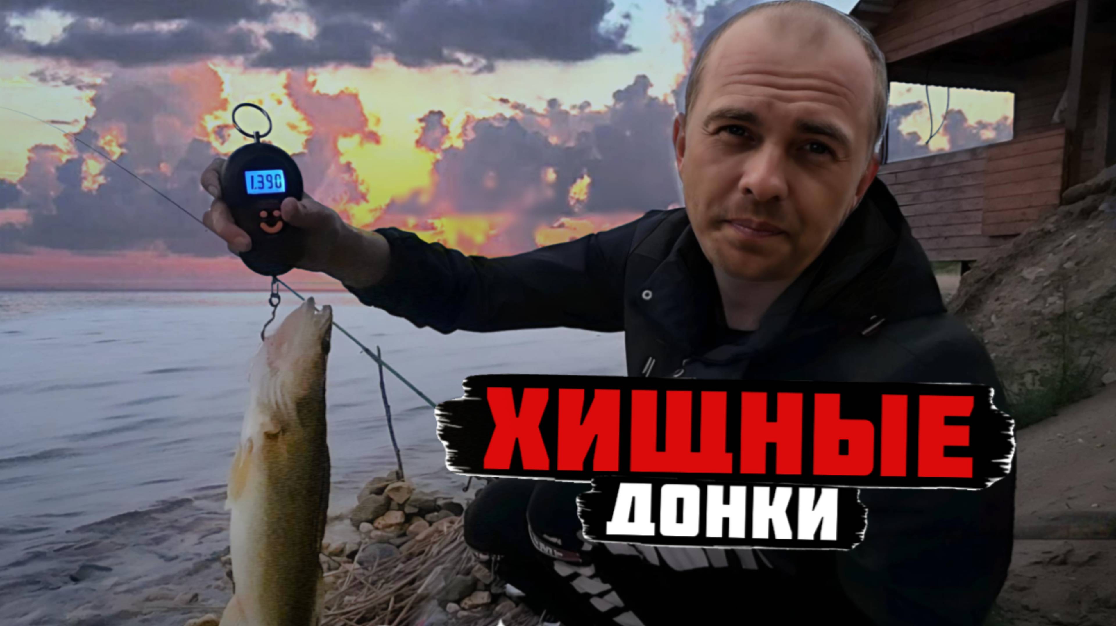 Надубасил судака на хищную донку. Рыбалка на реке Свидь.