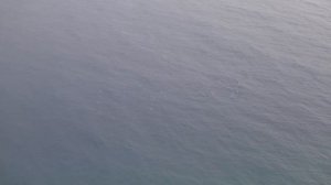 Рыбы на Two Lovers Point, Гуам