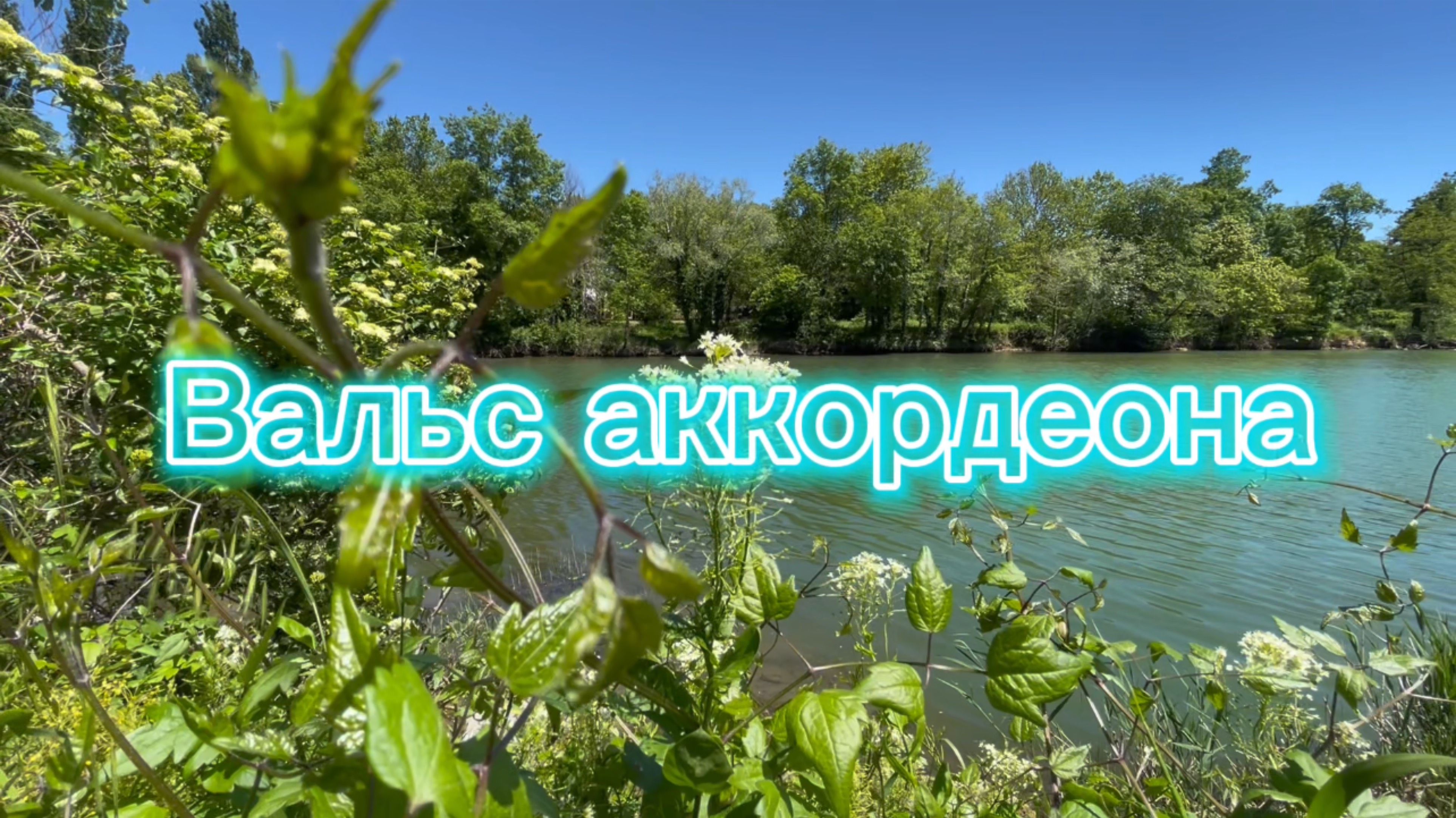 Музыка для души, прекрасный аккордеон