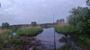 Рыбалка , Муравьиные острова . Сазан нерестится, караси огромные, клют на пенопласт.))))
