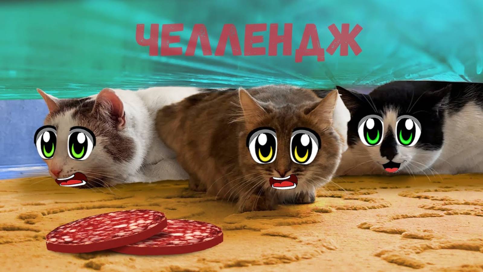 ЧЕЛЛЕНДЖ для УЛЫБАЮЩИХСЯ КОТОВ! КТО ПЕРВЫЙ ОСВОБОДИТСЯ ПОЛУЧИТ 100 КОЛБАСОК! А ну-ка Давай-ка