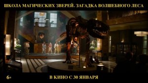 Школа магических зверей. Загадка волшебного леса | Фин