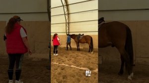Видео 1 Работа в руках. Учимся