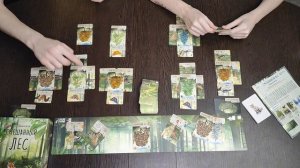 Смешанный лес 🦊 настольная игра: обзор и летсплей + мн