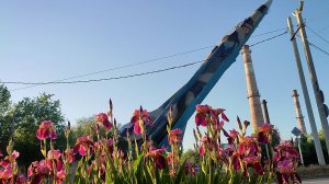 Опрос. Лето в Ахтубинске (10.06.2025)