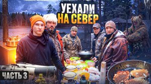 ВСТРЕЧА С МЕДВЕДЕМ. УХА В КАЗАНЕ. ТАЕЖНЫЙ БЫТ В ГЛУХОМ ЛЕСУ. ЧАСТЬ3