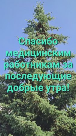 Спасибо, медики!