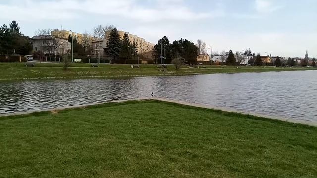 Свидница: залив смотреть онлайн