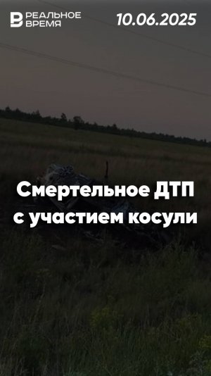 Смертельная встреча с косулей унесла жизни трёх человек