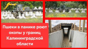Когда польские стратеги планируют победу над Москвой, но открывают учебник и видят там 1612-1945 гг