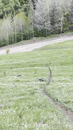 Межгалактический запуск камня с горы