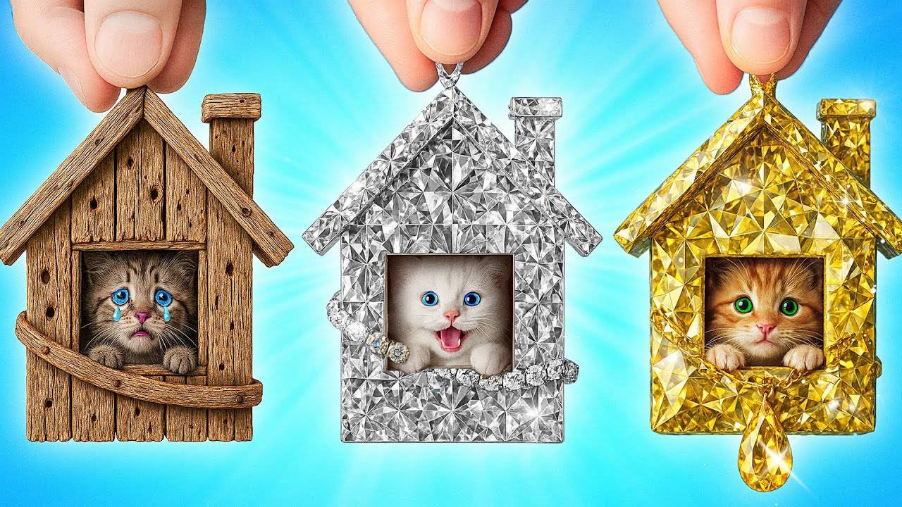 Я Спасла Бездомных Животных   Смешные Моменты