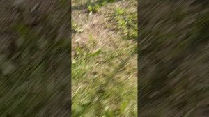 моя деревня часть 7