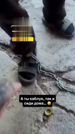 Пиво это святое