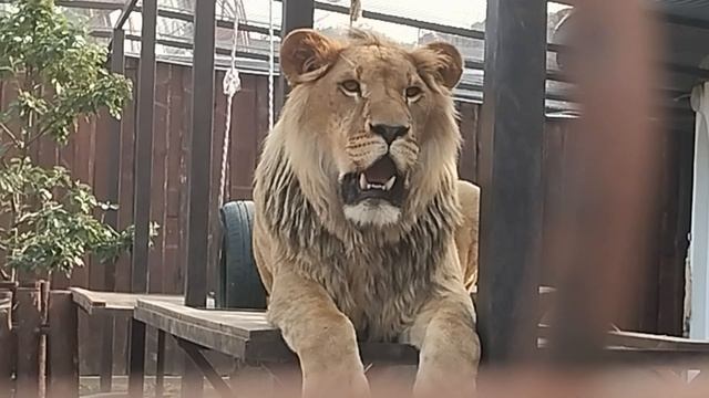 Шерхан желает каждому найти свой приют, где его любят и ждут.Минск 4 июня