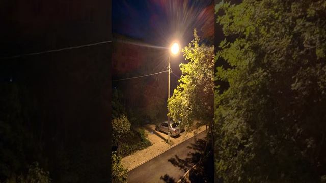 VID_20210703_014230 (ASMR)