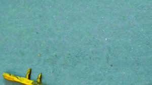 Пресмыкающиеся