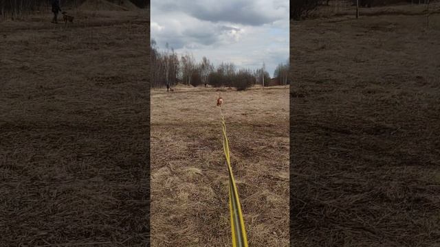 rutube.ru