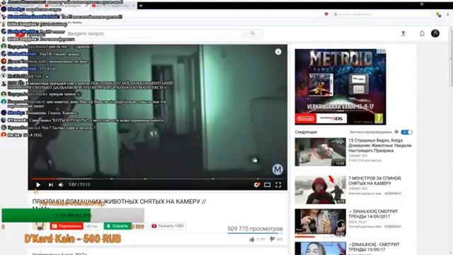 KENTEK смотреть MoMo I ПРИЗРАКИ ДОМАШНИХ ЖИВОТНЫХ СНЯТЫХ НА смотреть онлайн