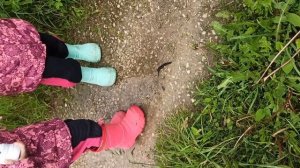 Шок! Нашли ужасного слизня!