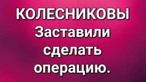 Колесниковы/Обзор.