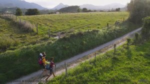 Почему это видео УДАЛЯЮТ с YouTube - Mont Blanc -- Podington Bear -- Homage Fromage (Box Set Disc 5)