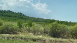Ехала из Сретенска в Кокуй и смотрела на природу