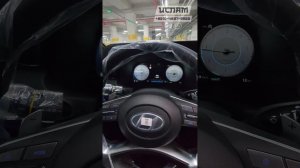 Обзор  Hyundai Palisade Calligraphy с ценой "под ключ"