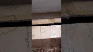 Наш TG https://t.me/liveofcats
