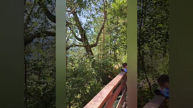 Заезд АНТИСТРЕССОВЫЕ ПРАКТИКИ на Алтае. 2024. Талдински? смотреть онлайн