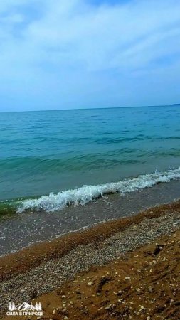 Краснодарский край Агой море 2025