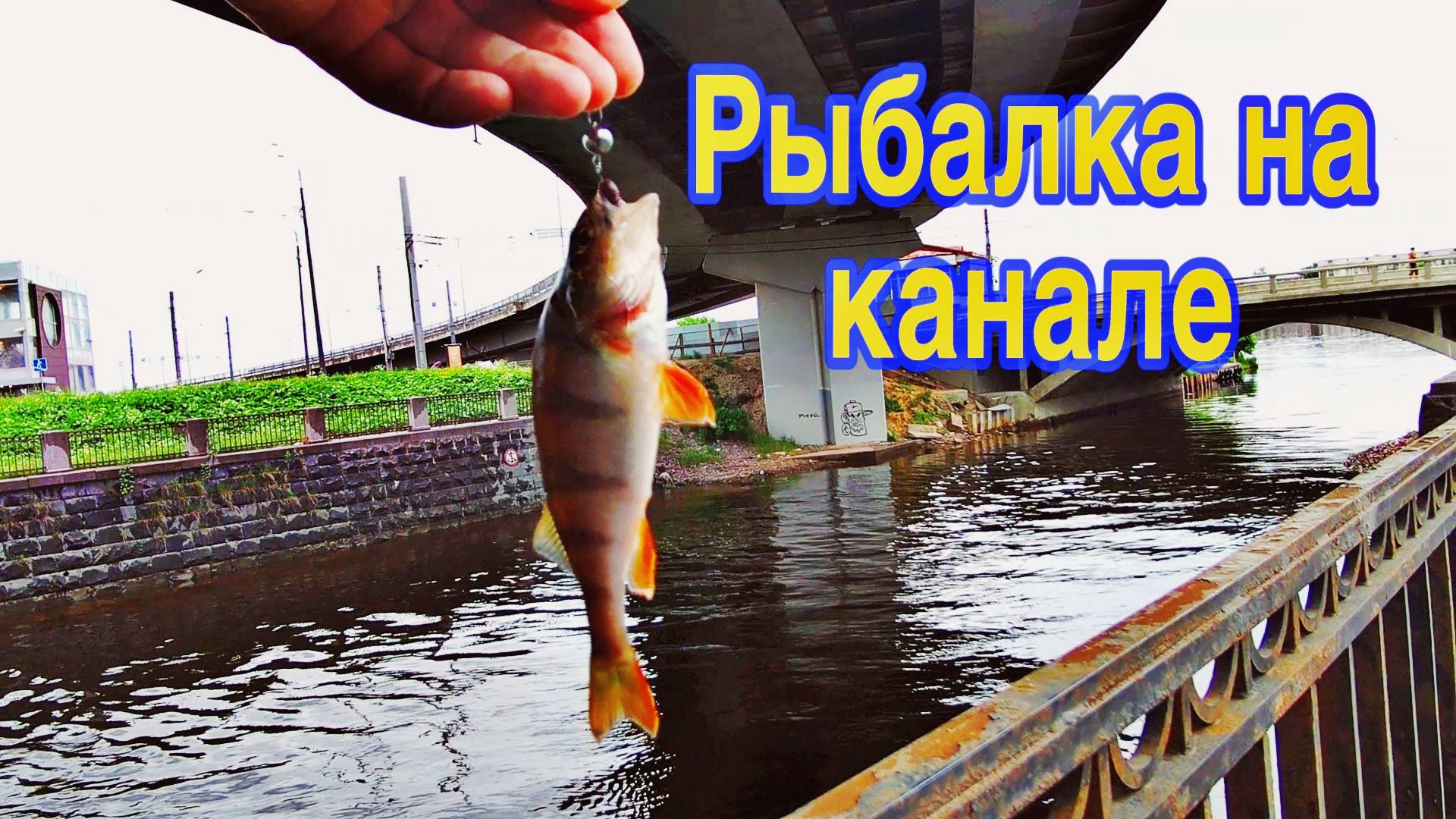 РЫБАЛКА НА ОБВОДНОМ КАНАЛЕ | ЛОВЛЯ ЩУКИ, ОКУНЯ И ЕРША