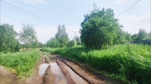 petal_20250610_151610.mp4