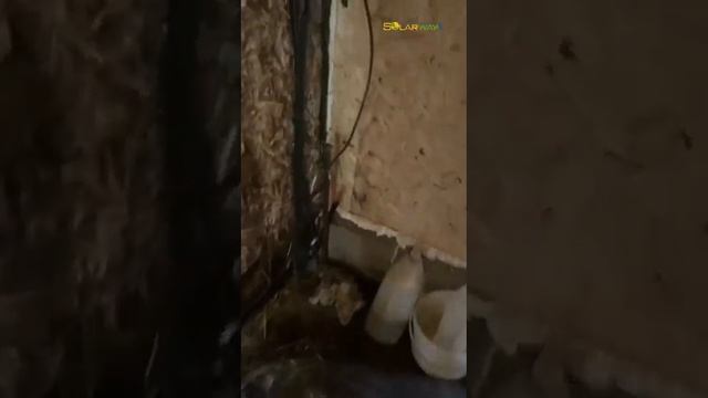 Охотничье хозяйство на солнечных батареях смотреть онлайн